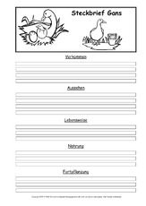 Steckbriefvorlage-Gans-2.pdf
